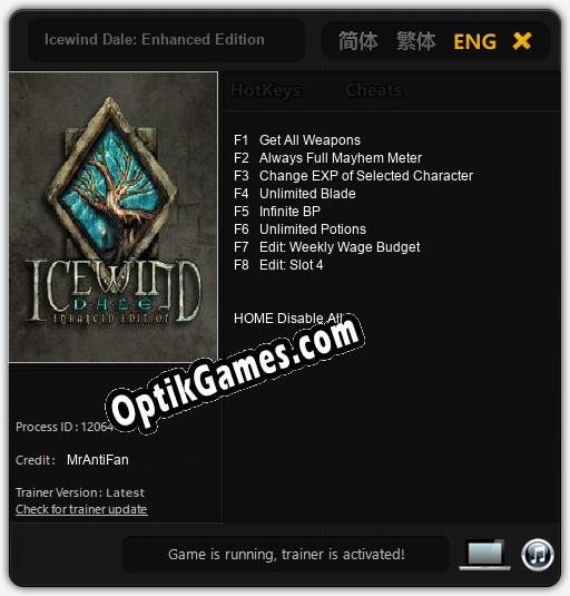 Icewind Dale: Enhanced Edition: Cheats, Trainer +8 [MrAntiFan]